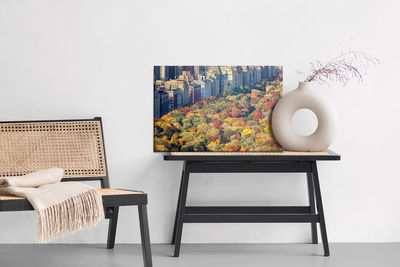 Ljuddämpande tavla - Central park aerial view