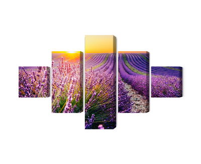 Ljuddämpande tavla - Lavender field at sunset 3d