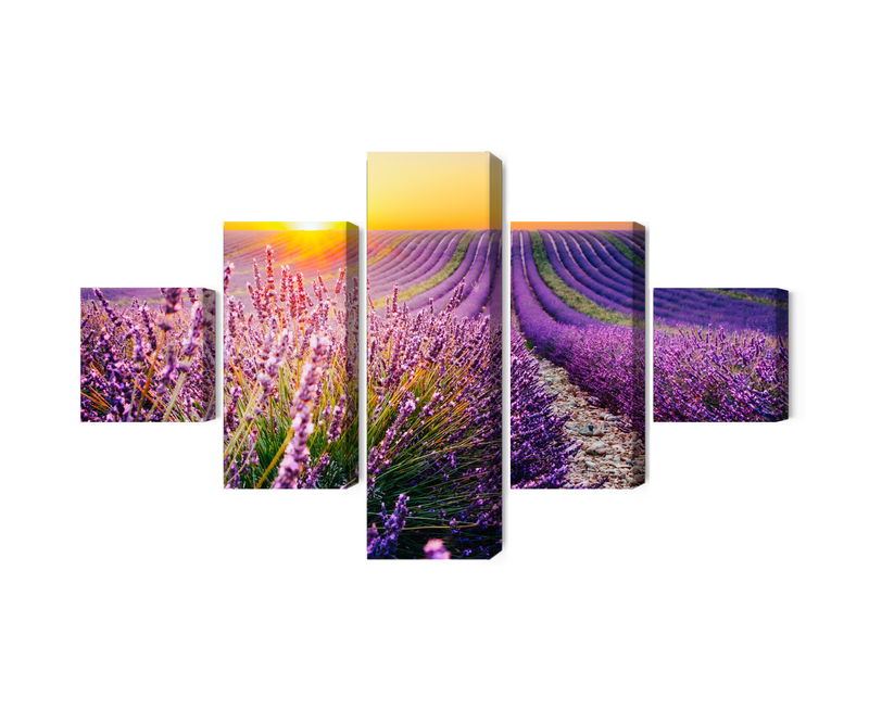 Ljuddämpande tavla - Lavender field at sunset 3d