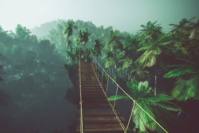 Ljuddämpande tavla - Rope bridge in the jungle 3d