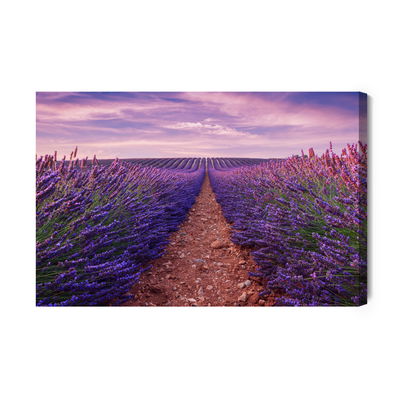 Ljuddämpande tavla - Beautiful lavender field