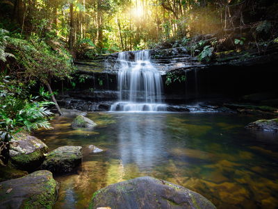 Ljuddämpande tavla - A waterfall in the bush