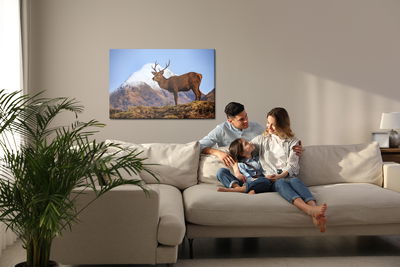 Ljuddämpande tavla - Deer on the background