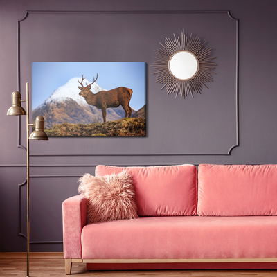 Ljuddämpande tavla - Deer on the background