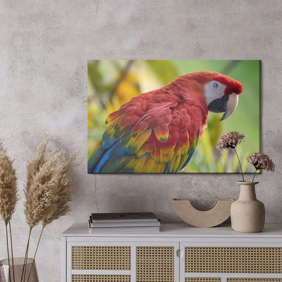 Ljuddämpande tavla - Ara parrot