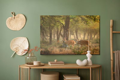 Ljuddämpande tavla - Spotted young deer