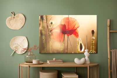 Ljuddämpande tavla - Poppies in the sun