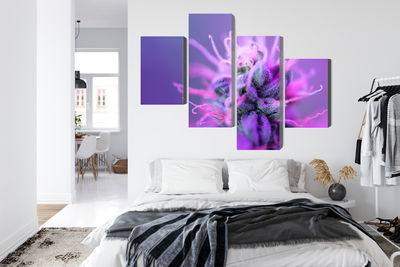 Ljuddämpande tavla - Macro plant on a pink-purple