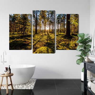 Ljuddämpande tavla - Morning sun rays