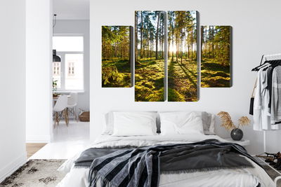 Ljuddämpande tavla - Forest landscape with sunset