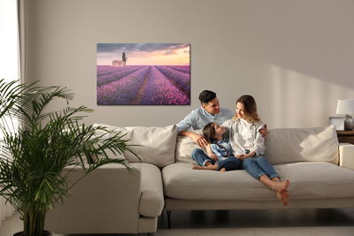 Ljuddämpande tavla - Flowering lavender field