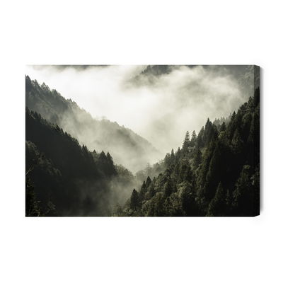 Ljuddämpande tavla - High mountain in mist