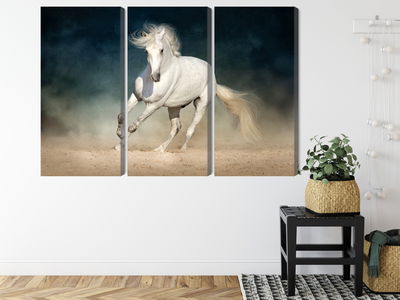 Ljuddämpande tavla - A white horse at a gallop