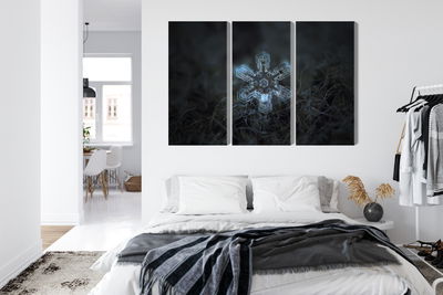 Ljuddämpande tavla - Snow flake in 3d macro scale