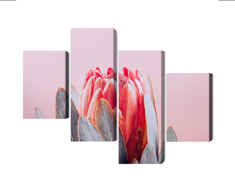 Ljuddämpande tavla - Flower of the royal protea
