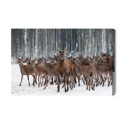 Ljuddämpande tavla - Deer among the hinds