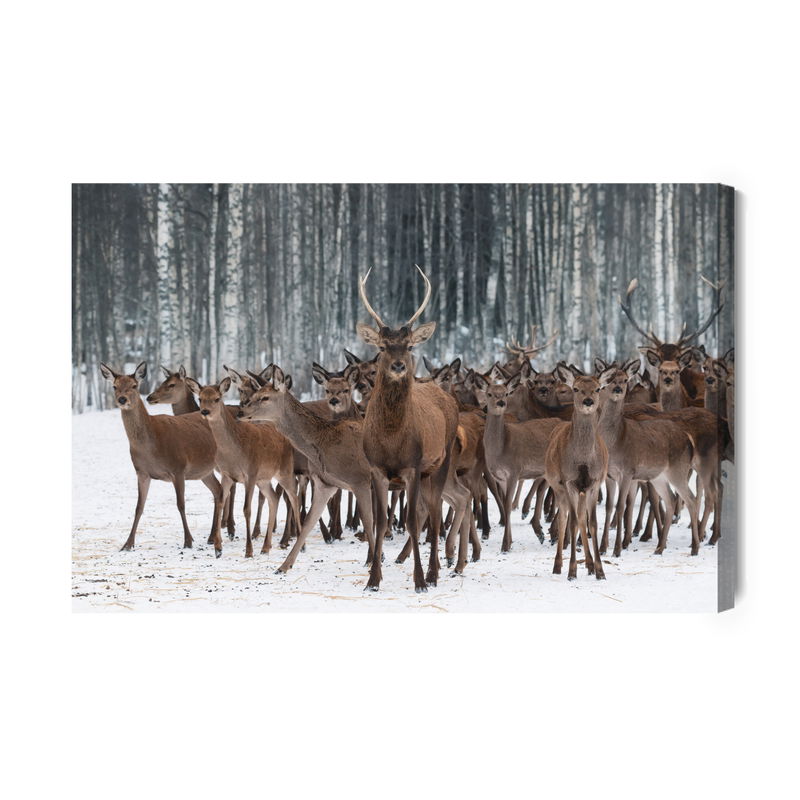 Ljuddämpande tavla - Deer among the hinds