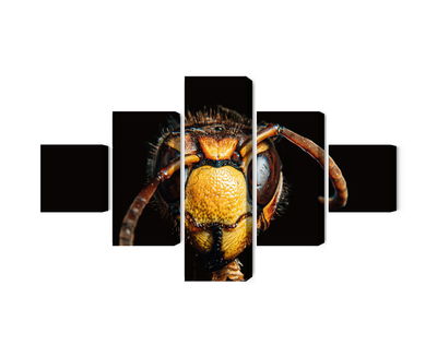 Ljuddämpande tavla - Hornet on a macro scale