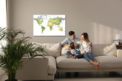 Ljuddämpande tavla - Physical map of the world