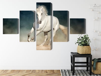 Ljuddämpande tavla - A white horse at a gallop