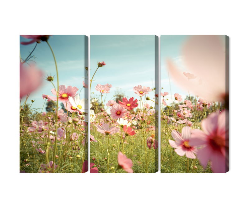 Ljuddämpande tavla - Cosmos flowers in the garden
