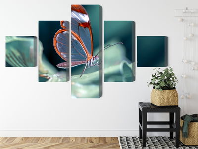 Ljuddämpande tavla - Glass-winged butterfly close