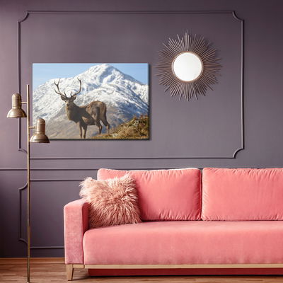 Ljuddämpande tavla - A deer with a mountain peak