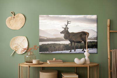 Ljuddämpande tavla - A deer against