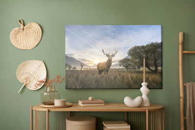 Ljuddämpande tavla - Deer on the background