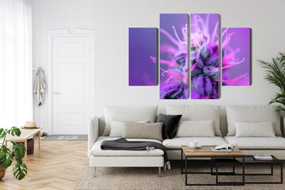 Ljuddämpande tavla - Macro plant on a pink-purple