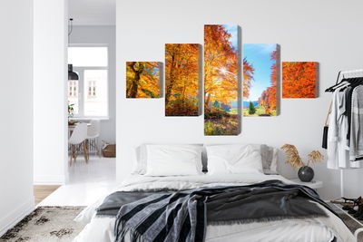 Ljuddämpande tavla - Colorful autumn trees