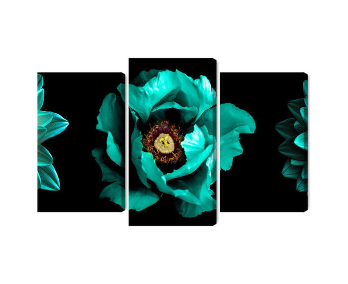 Ljuddämpande tavla - Turquoise flowers on a black