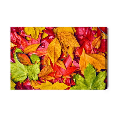 Ljuddämpande tavla - Leaves in autumn colors