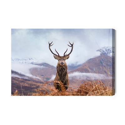 Ljuddämpande tavla - Deer and winter mountains