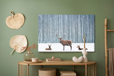 Ljuddämpande tavla - Deer and does in a winter