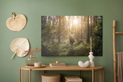 Ljuddämpande tavla - Deer and the sun's rays
