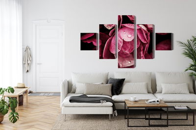 Ljuddämpande tavla - Peony flowers close up 3d