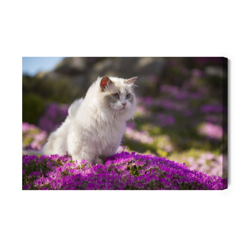Ljuddämpande tavla - Ragdoll cat among flowers