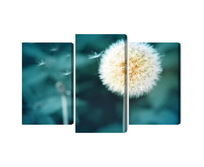 Ljuddämpande tavla - Dandelion flower close up 3d