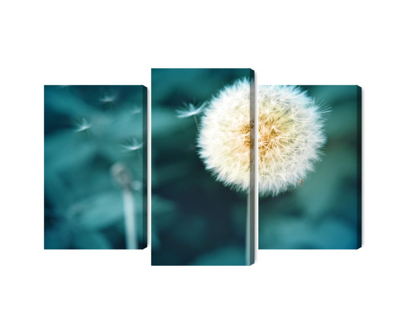 Ljuddämpande tavla - Dandelion flower close up 3d