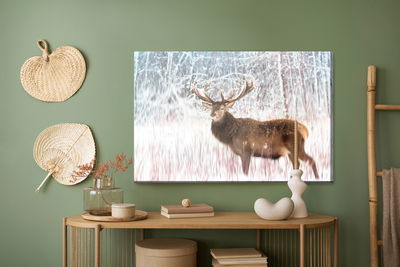 Ljuddämpande tavla - Deer on an abstract