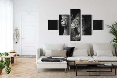 Ljuddämpande tavla - Lion and lioness on a black