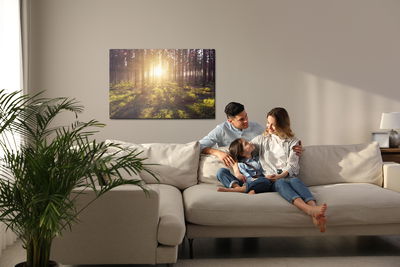 Ljuddämpande tavla - The sun's rays in the forest