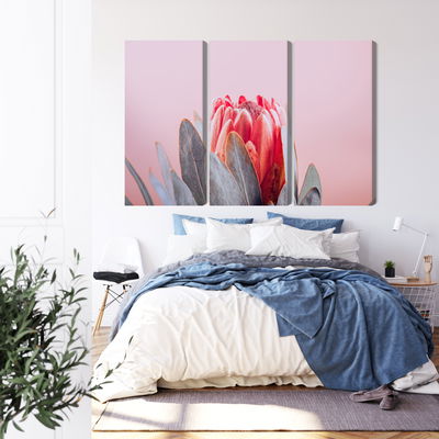 Ljuddämpande tavla - Flower of the royal protéa