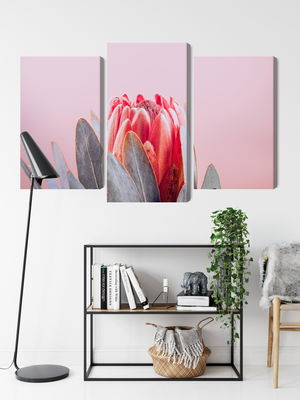 Ljuddämpande tavla - Flower of the royal protea