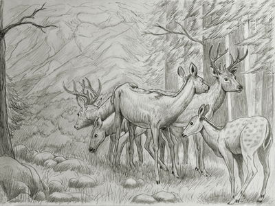 Ljuddämpande tavla - Sketch of a deer