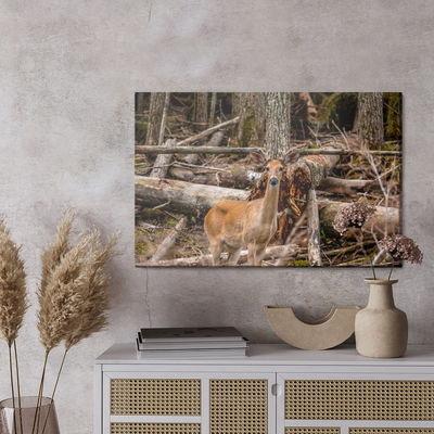 Ljuddämpande tavla - A young deer among the trees