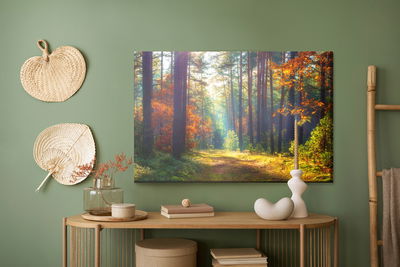 Ljuddämpande tavla - Autumn forest in the morning