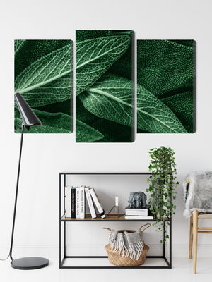 Ljuddämpande tavla - Salvia leaves on a macro