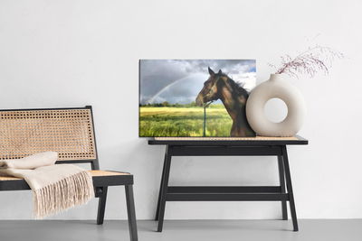 Ljuddämpande tavla - Horse in the meadow